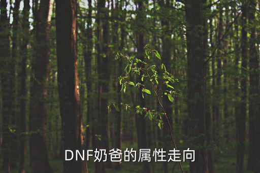 dnf奶爸能奶什么属性，DNF奶爸双天赋学圣灵之锤能奶吗