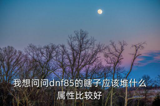 dnf瞎子技能吃什么属性，DNF瞎子堆什么属性强化