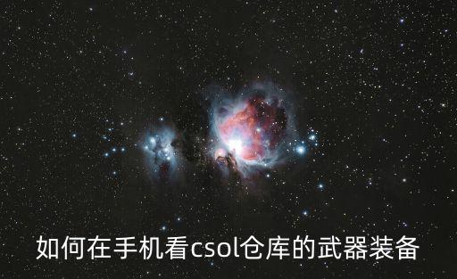 穿越火线手游怎么看仓库武器，如何在手机看csol仓库的武器装备