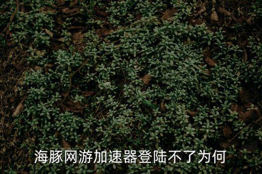 海豚网游加速器登陆不了为何