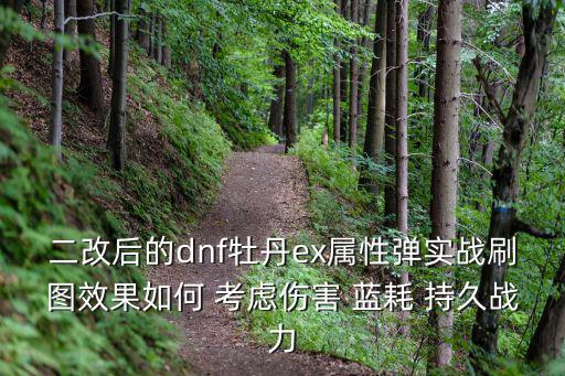 dnf牡丹是什么属性伤害，二改后的dnf牡丹ex属性弹实战刷图效果如何 考虑伤害 蓝耗 持久战力