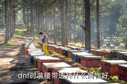 dnf时装腰带选择什么属性好