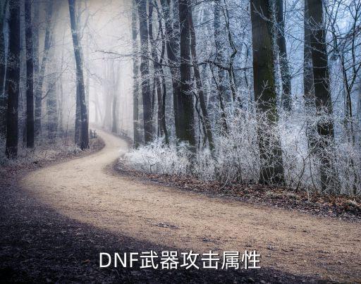 DNF武器攻击属性