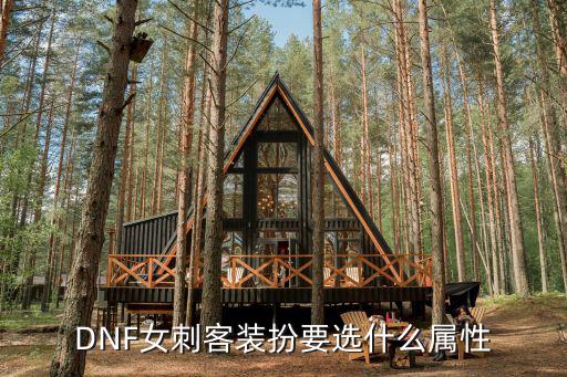 dnf绫选属性是什么，DNF女刺客装扮要选什么属性