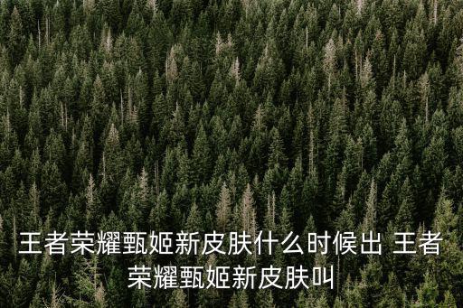 王者荣耀甄姬新皮肤什么时候出 王者荣耀甄姬新皮肤叫