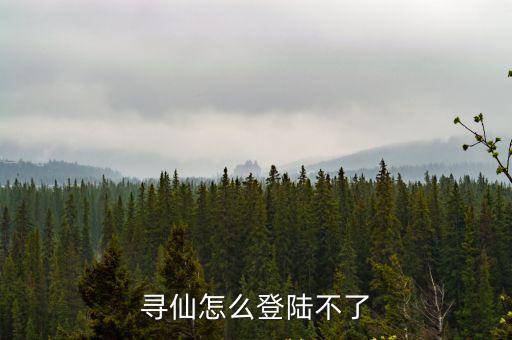 寻仙怎么登陆不了