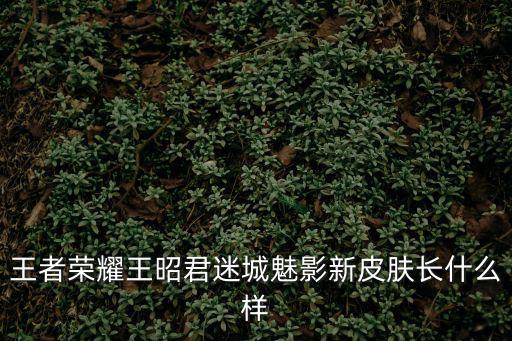 王者荣耀女英雄新皮肤有哪些图片，王者荣耀王昭君迷城魅影新皮肤长什么样