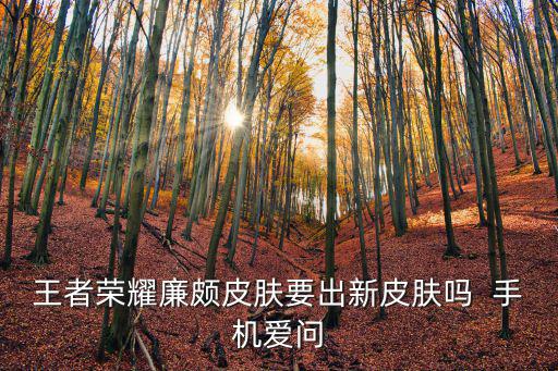王者荣耀廉颇皮肤要出新皮肤吗 手机爱问