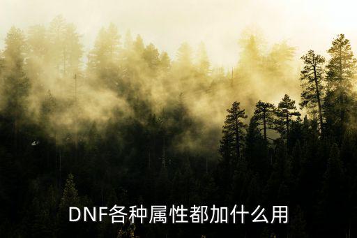 DNF各种属性都加什么用