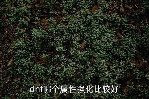 dnf哪个属性强化比较好