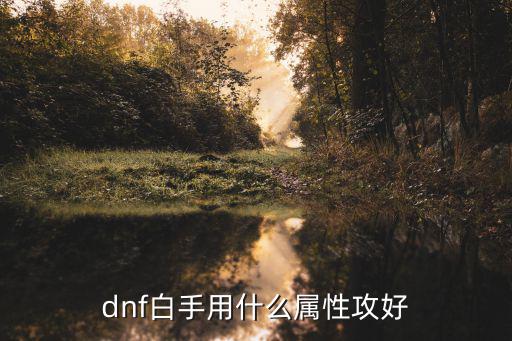 dnf白手什么属性最重要，关于DNF白手加什么属性好