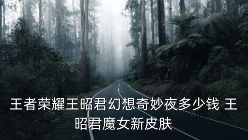 王者荣耀王昭君幻想奇妙夜多少钱 王昭君魔女新皮肤
