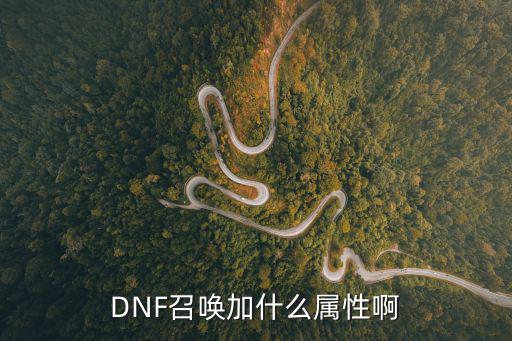 召唤师堆什么属性DNF，DNF召唤加什么属性啊