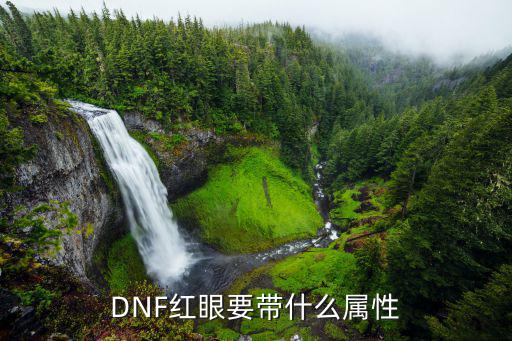 dnf红眼红字要什么属性，DNF红眼要带什么属性