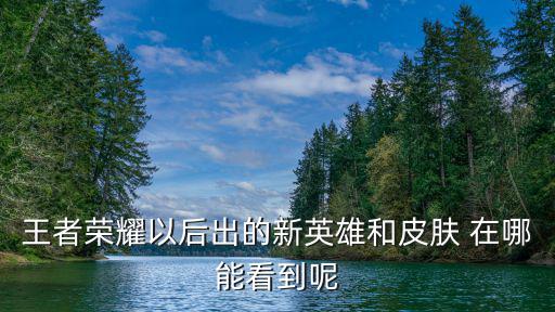 王者荣耀以后出的新英雄和皮肤 在哪能看到呢