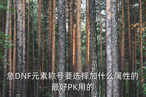 急DNF元素称号要选择加什么属性的最好PK用的