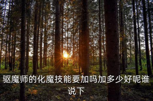 驱魔师的化魔技能要加吗加多少好呢谁说下