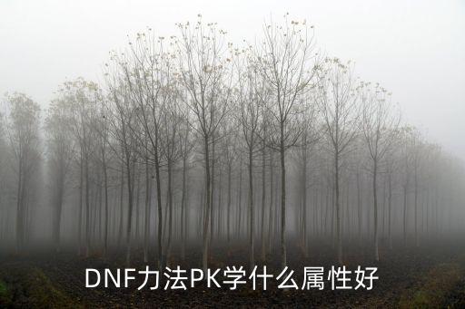 dnf力法走什么属性好，dnf力法球流 装备怎么选择 走什么属性强好