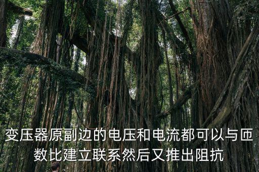 手游木筏求生创造模式怎么找电源，电工建筑图纸中C65N504PINT63323P各是什么意思