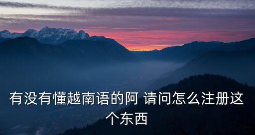 有没有懂越南语的阿 请问怎么注册这个东西