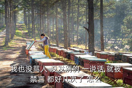 我也没骂人 没发别的 一说话 就被禁言 都好几次了 怎么