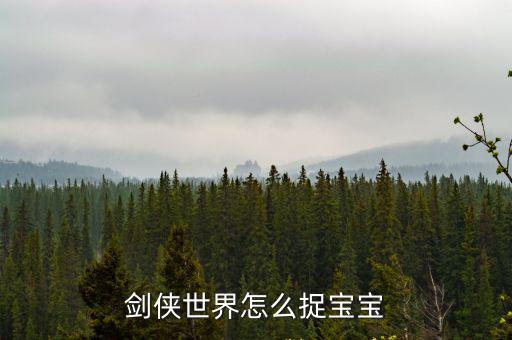 剑侠世界怎么捉宝宝