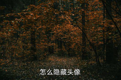 怎么隐藏头像