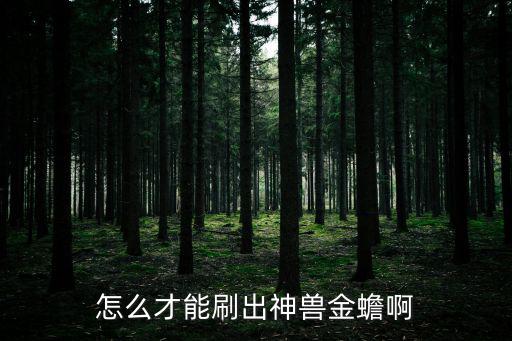 怎么才能刷出神兽金蟾啊