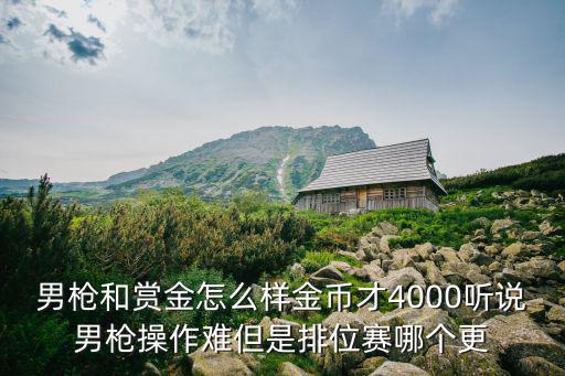 男枪和赏金怎么样金币才4000听说男枪操作难但是排位赛哪个更