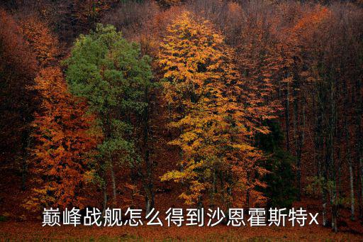 巅峰战舰怎么得到沙恩霍斯特x