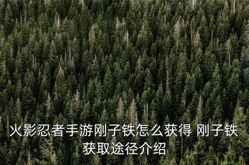 火影忍者手游刚子铁怎么获得 刚子铁获取途径介绍