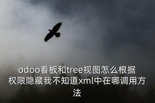 odoo看板和tree视图怎么根据权限隐藏我不知道xml中在哪调用方法