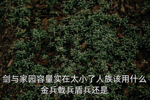 剑与家园容量实在太小了人族该用什么金兵戟兵盾兵还是