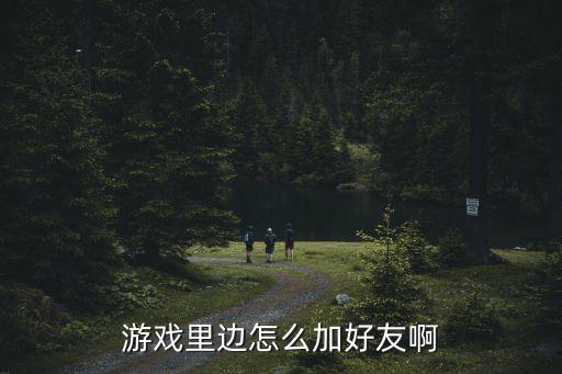 游戏里边怎么加好友啊