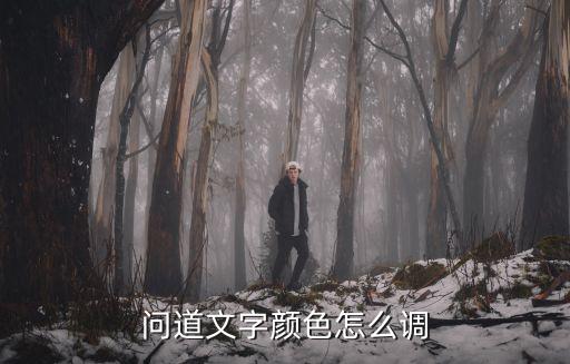问道手游怎么弄颜色字，问道 游戏 怎么打有颜色的字