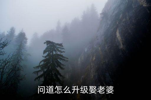 问道怎么升级娶老婆