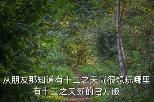 十二之天贰手游怎么下载，十二之天贰是手游还是电脑游戏
