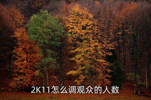 2K11怎么调观众的人数