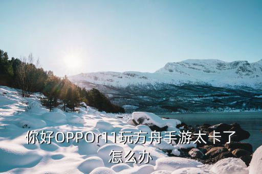你好OPPOr11玩方舟手游太卡了怎么办