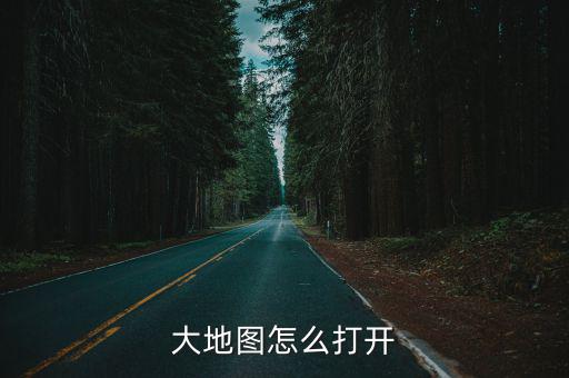 大地图怎么打开