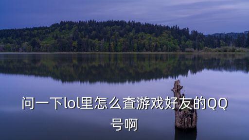 问一下lol里怎么査游戏好友的QQ号啊