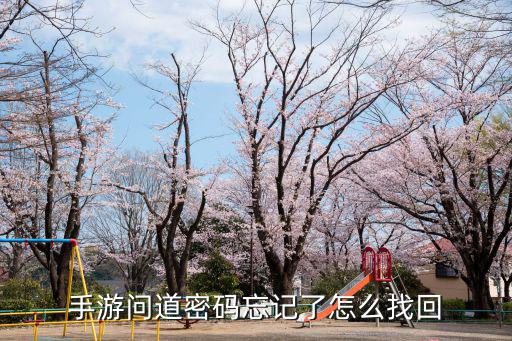 问道手游登录密码忘记了怎么找回，问道游戏帐号密码怎么找回