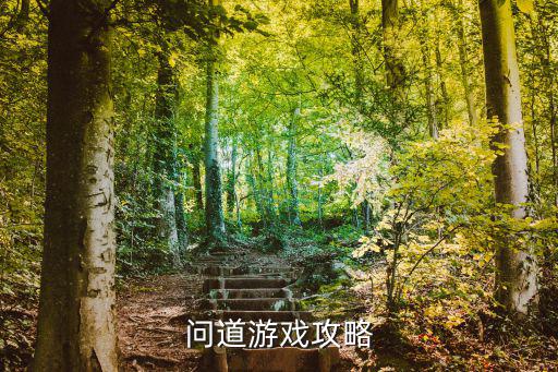 问道游戏攻略