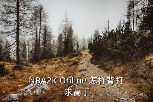 NBA2K Online 怎样背打 求高手
