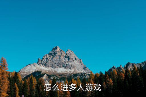怎么进多人游戏
