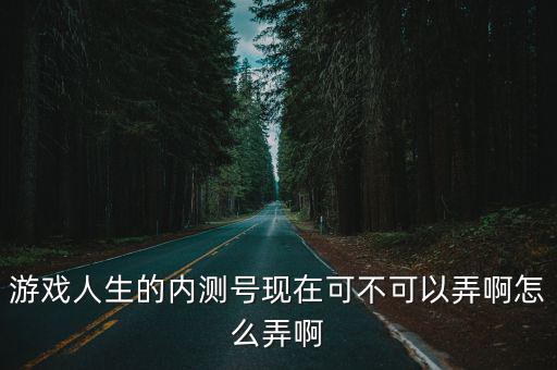 游戏人生的内测号现在可不可以弄啊怎么弄啊