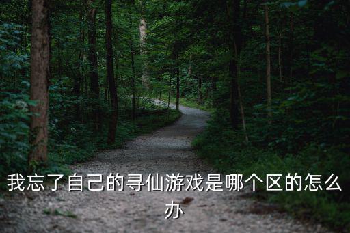 我忘了自己的寻仙游戏是哪个区的怎么办