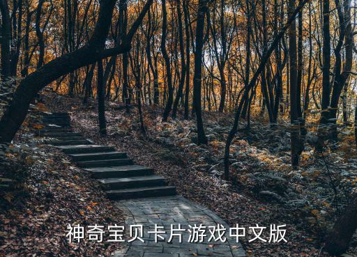 神奇宝贝卡片游戏中文版