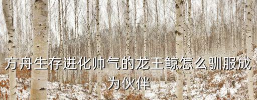 方舟手游怎么制作龙王鲸，方舟手游里TEK Kibble processor 是什么该怎么用