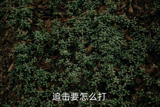 追击要怎么打